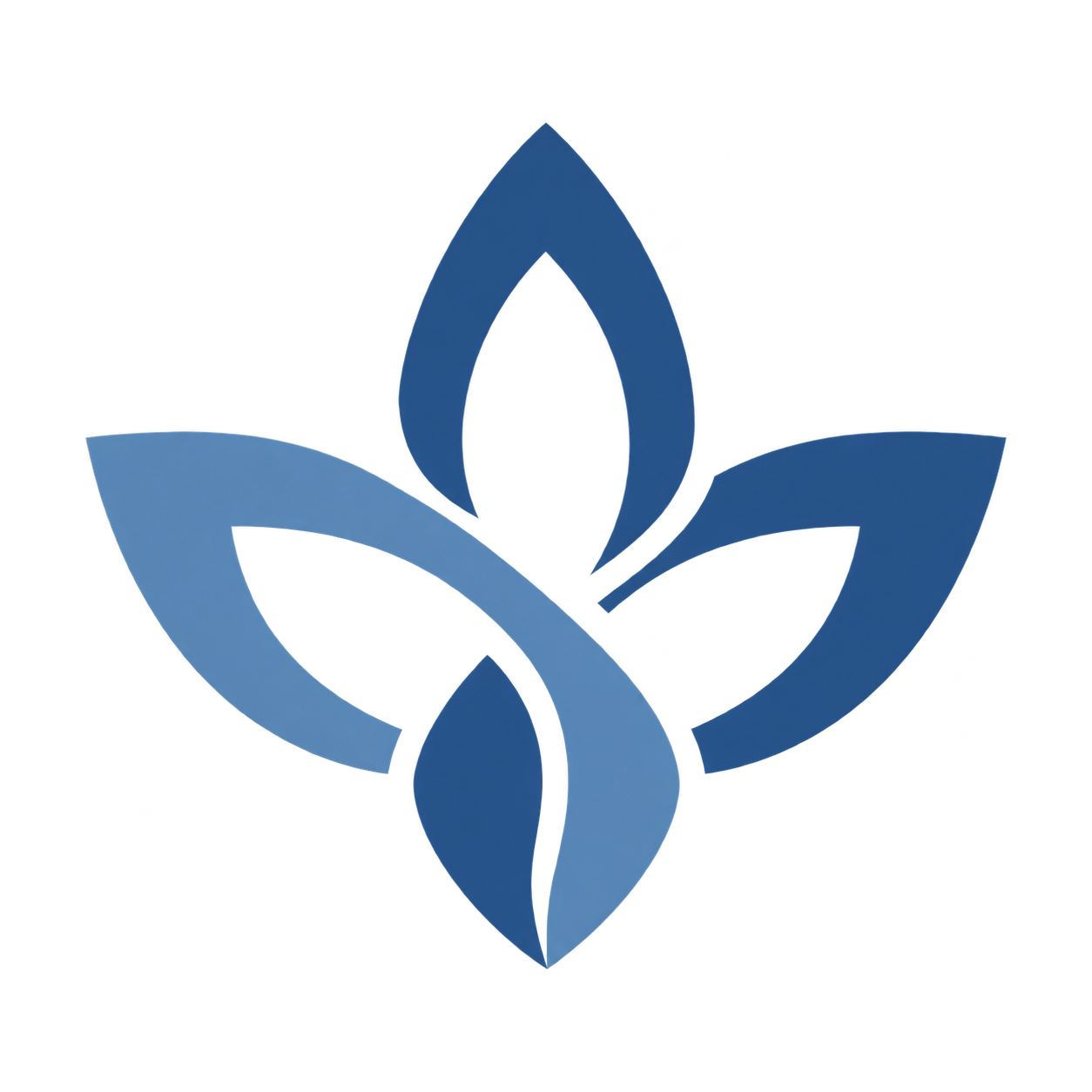 CDIP geometric floral emblem